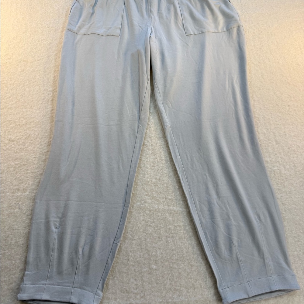 AnyBody Light Gray Track Pants